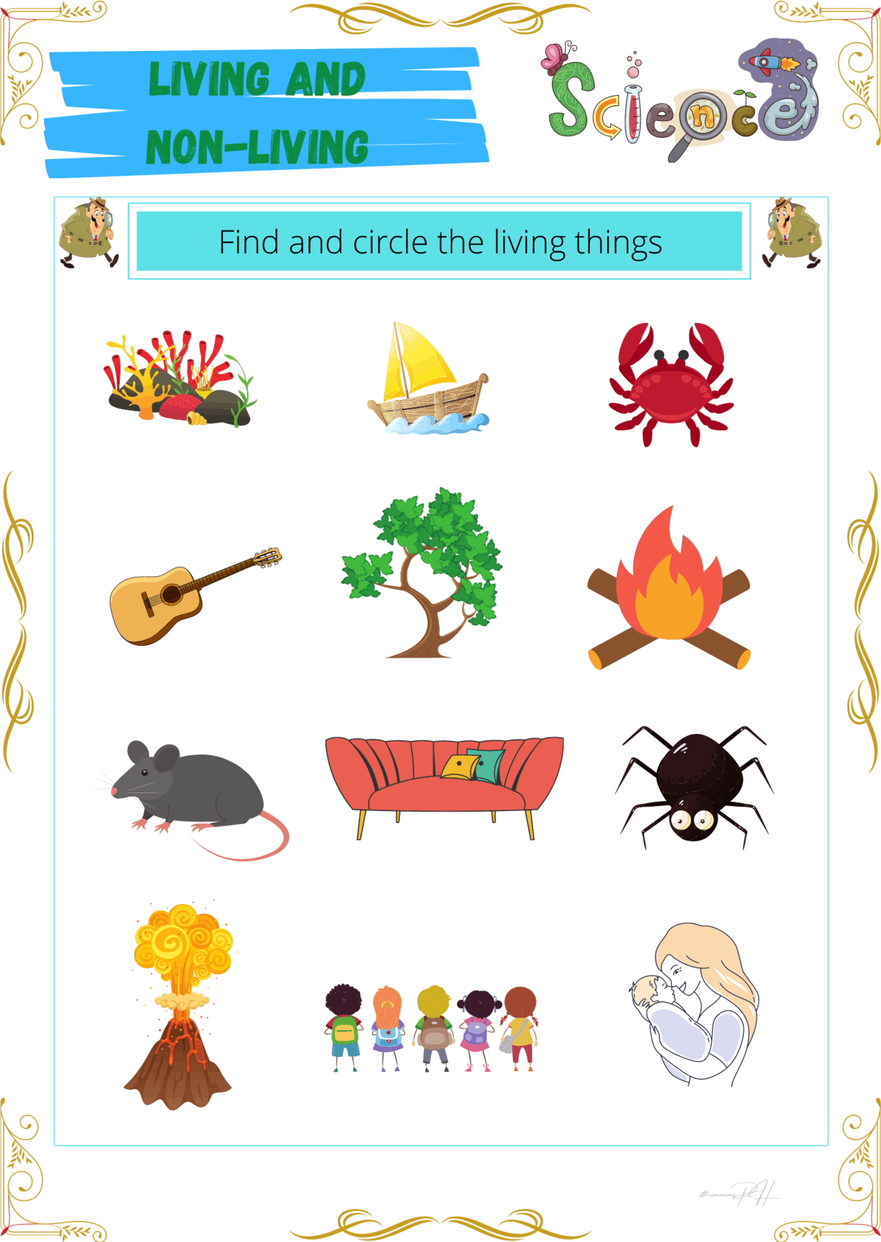 Living And Non Living Things Worksheets