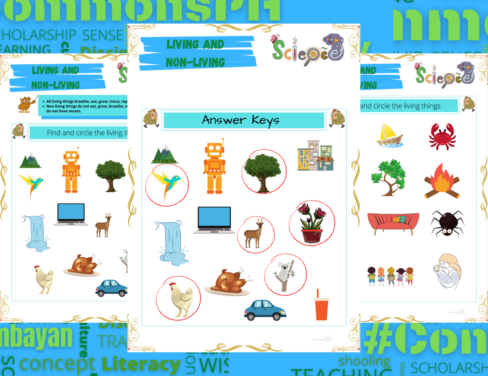 Grade 1 Science Worksheet | Living Things and Non-Living Things