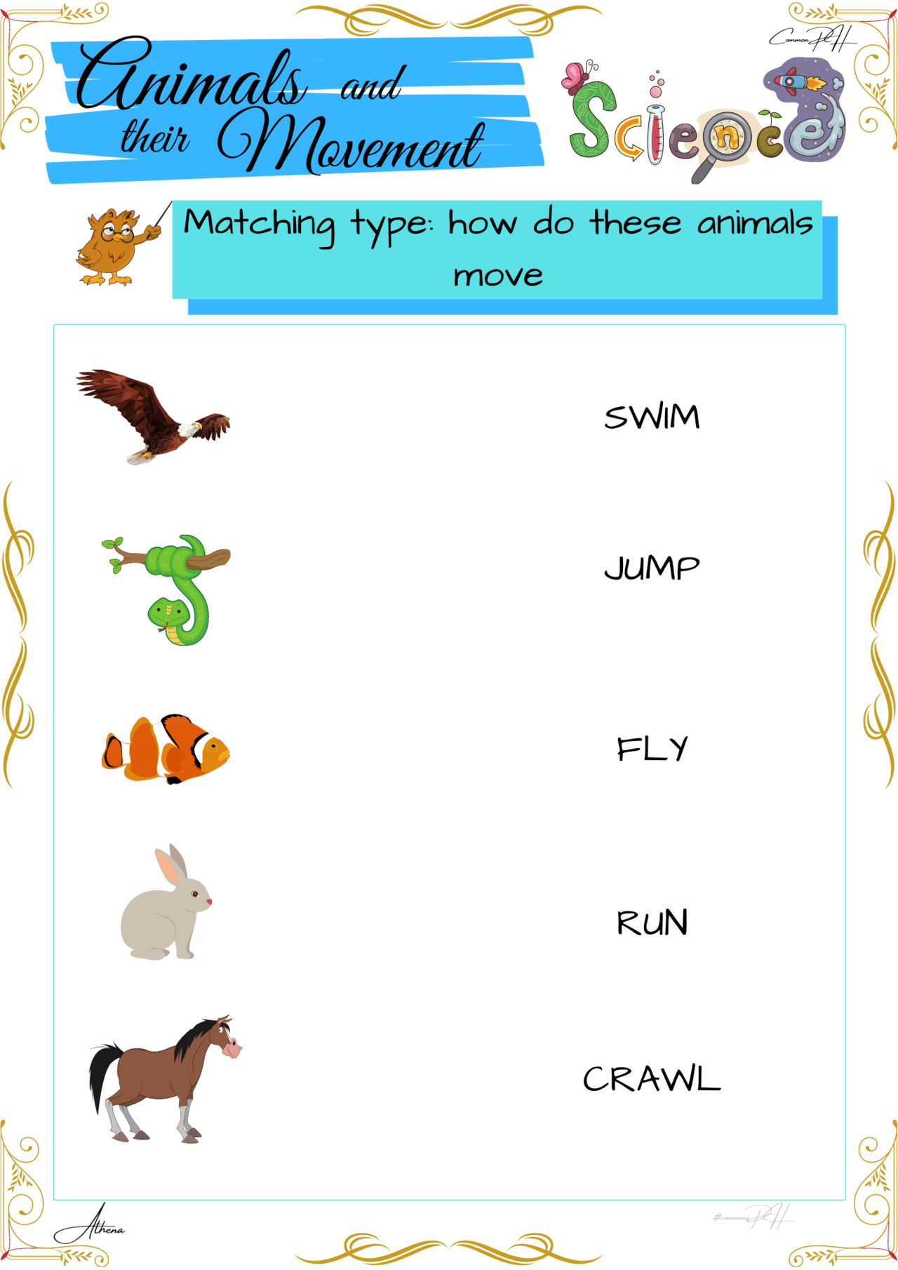 grade 1 science worksheet how animals move