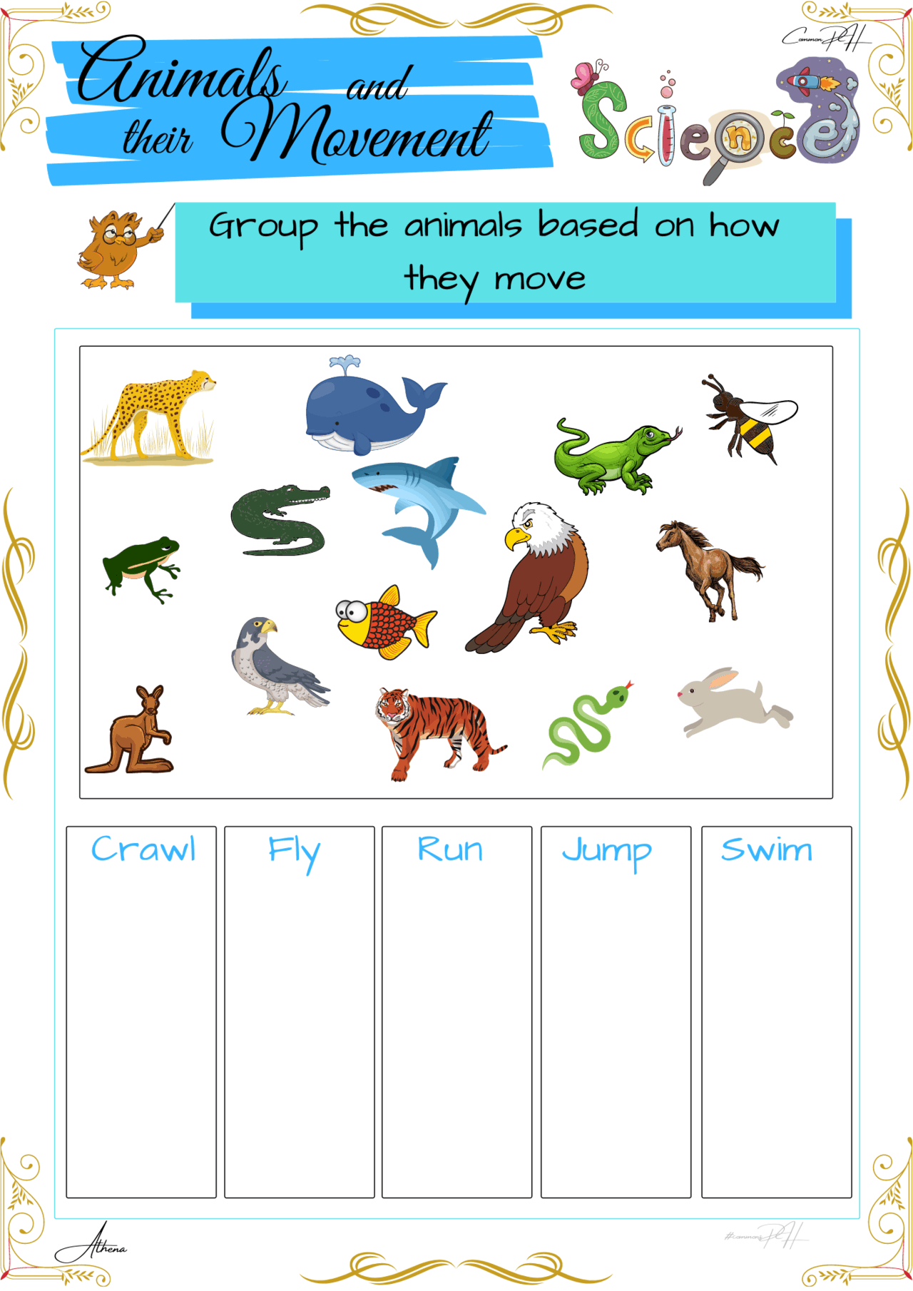 grade 1 science worksheet how animals move